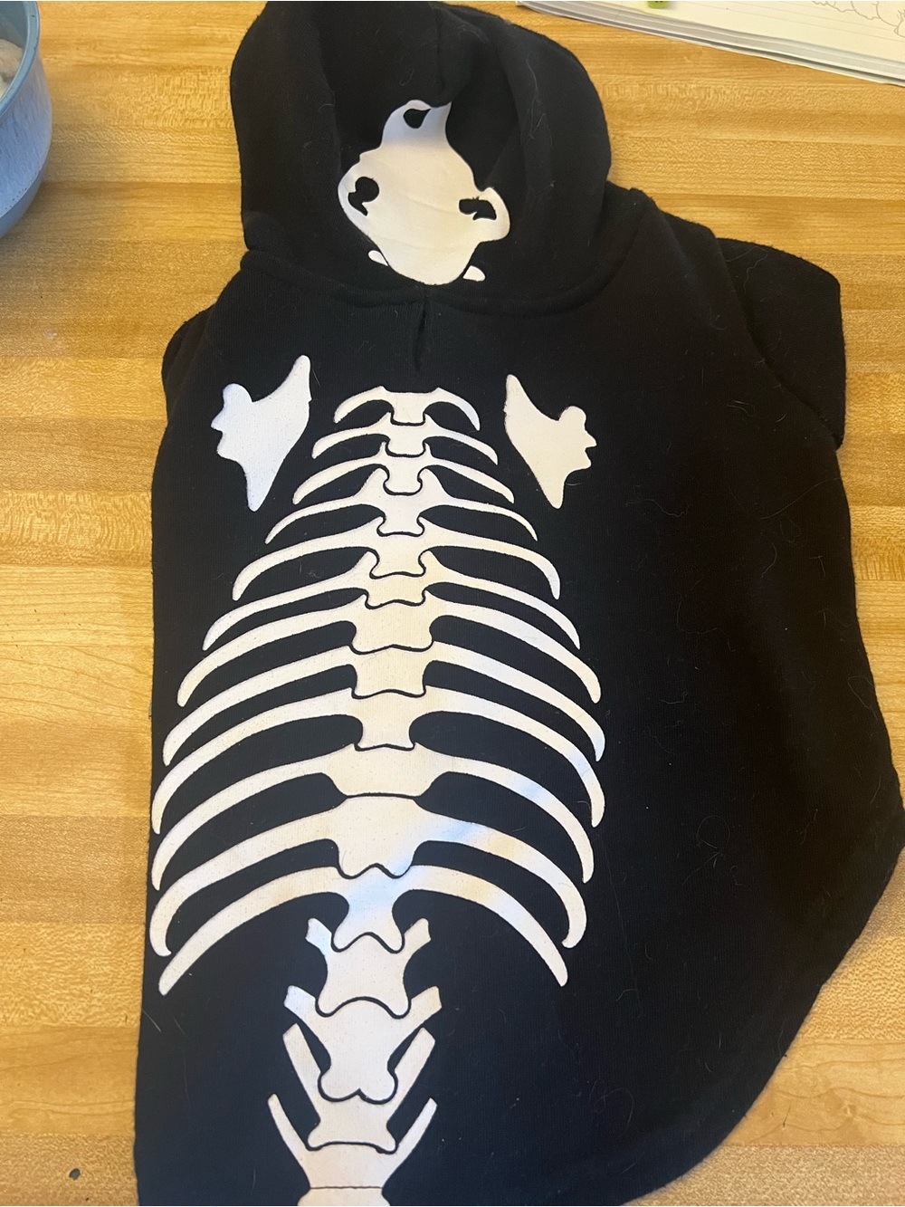 Medium Dog Sweaters & Shirts – Cute & Cozy!